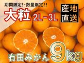 【先行予約】和歌山県産 有田みかん 大粒サイズ 9kg 2L～3L