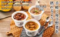 【ギフトセット】 レンジで1分 野菜をMOTTO スープ 9個 ギフト セット レトルト インスタント 国産 ダイエット ベジMOTTOスープ 具だくさん 時短 手軽