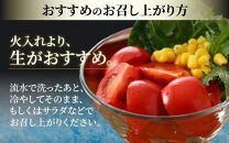 高糖度 ミディトマト 越のルビー パック入り 約1kg 5パック（25～35個入） / 福井県産 ブランド トマト 福井県産ブランドトマト  農家直送 有機肥料 低農薬 完熟 甘い