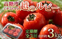 【先行予約】《定期便3回》高糖度 ミディトマト 越のルビー 約1kg 5パック（計約3kg） / 福井県産 ブランド トマト 福井県産ブランドトマト  農家直送 有機肥料 低農薬 完熟 甘い ※2024年9月下旬より順次発送