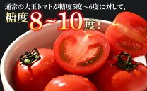 【先行予約】《定期便3回》高糖度 ミディトマト 越のルビー 約1kg 5パック（計約3kg） / 福井県産 ブランド トマト 福井県産ブランドトマト  農家直送 有機肥料 低農薬 完熟 甘い ※2024年9月下旬より順次発送