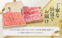 【京都モリタ屋】京都肉サーロインステーキ 800g、ロースすき焼きセット 600g［ 京都 老舗 肉 サーロイン ロース 人気 おすすめ グルメ おいしい 高級 ブランド ブランド牛 和牛 国産牛 料理 ステーキ すき焼き しゃぶしゃぶ 焼肉 ］