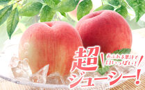 先行予約！［モモ］川中島白桃　約2kg 6～8個入［2026年7月末頃から順次発送］［秀品］こだわり農家厳選 ［KG13］