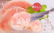 先行予約！［モモ］川中島白桃　約2kg&nbsp;6～8個入［2026年7月末頃から順次発送］［秀品］こだわり農家厳選&nbsp;［KG13］