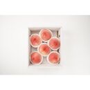 先行予約！［モモ］川中島白桃　約2kg&nbsp;6～8個入［2026年7月末頃から順次発送］［秀品］こだわり農家厳選&nbsp;［KG13］