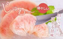 先行販売！【モモ】 白鳳　桃の王様！約2kg6～8個 【2025年6月下旬頃より順次発送】【秀品】こだわり農家厳選 【KG12】