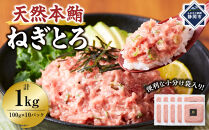 天然本鮪&nbsp;ねぎとろ&nbsp;計1kg：100g&nbsp;10パックセット【静岡市清水】冷凍&nbsp;&nbsp;マグロ&nbsp;&nbsp;たたき&nbsp;ネギトロ丼&nbsp;手巻き寿司&nbsp;小分け&nbsp;即席&nbsp;海の幸&nbsp;【配送不可：離島】◇