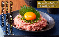 天然本鮪&nbsp;ねぎとろ&nbsp;計1kg：100g&nbsp;10パックセット【静岡市清水】冷凍&nbsp;&nbsp;マグロ&nbsp;&nbsp;たたき&nbsp;ネギトロ丼&nbsp;手巻き寿司&nbsp;小分け&nbsp;即席&nbsp;海の幸&nbsp;【配送不可：離島】◇