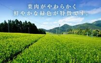 【訳あり】本山茶（ほんやまちゃ）200ｇ× 2本★★