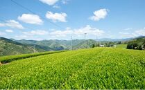 【さくらねこTNR活動支援】静岡県産茶ティーバッグ5種類（静岡茶・ほうじ茶・和紅茶・玉露・玄米茶） 計54ティーバッグ