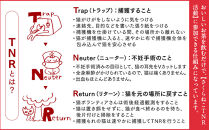 【さくらねこTNR活動支援】静岡市産茶ティーバッグ3種類（静岡茶・ほうじ茶・和紅茶）各12個入&nbsp;計36ティーバッグ