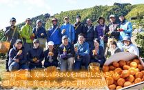 【2025年1月中旬より順次発送】青木農園 青島みかん 5kg【配送不可：離島】