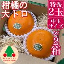 お試し規格 柑橘の大トロ ハウス せとか 厳選 中玉 2玉入 手さげ箱 × 2箱 南泰園 和歌山 有田