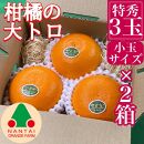 お試し規格 柑橘の大トロ ハウス せとか 厳選 小玉 3玉入 手さげ箱 × 2箱 南泰園 和歌山 有田