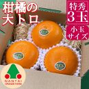 お試し規格 柑橘の大トロ ハウス せとか 厳選 小玉 3玉入 手さげ箱 南泰園 和歌山 有田