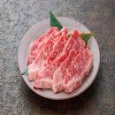 鳥取和牛上カルビ焼肉 450g   1416