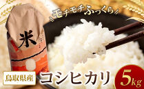 米&nbsp;コシヒカリ&nbsp;令和7年産&nbsp;鳥取県産&nbsp;5kg【こしひかり&nbsp;米&nbsp;お米&nbsp;白米&nbsp;2025年産&nbsp;ごはん&nbsp;ご飯&nbsp;弁当&nbsp;おにぎり&nbsp;おむすび&nbsp;国産&nbsp;人気&nbsp;おすすめ&nbsp;鳥取県&nbsp;琴浦町&nbsp;送料無料】