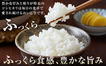 米&nbsp;コシヒカリ&nbsp;令和7年産&nbsp;鳥取県産&nbsp;5kg【こしひかり&nbsp;米&nbsp;お米&nbsp;白米&nbsp;2025年産&nbsp;ごはん&nbsp;ご飯&nbsp;弁当&nbsp;おにぎり&nbsp;おむすび&nbsp;国産&nbsp;人気&nbsp;おすすめ&nbsp;鳥取県&nbsp;琴浦町&nbsp;送料無料】
