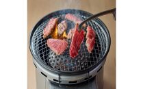 鳥取県産牛ハラミと鳥取和牛カルビの焼肉セット 計450g 1219