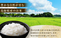米&nbsp;コシヒカリ&nbsp;令和7年産&nbsp;鳥取県産&nbsp;3kg【こしひかり&nbsp;米&nbsp;お米&nbsp;白米&nbsp;2025年産&nbsp;ごはん&nbsp;ご飯&nbsp;弁当&nbsp;おにぎり&nbsp;おむすび&nbsp;国産&nbsp;人気&nbsp;おすすめ&nbsp;鳥取県&nbsp;琴浦町&nbsp;送料無料】