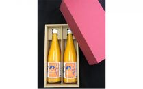 しみずTHE MIKAN100％（みかんジュース）720ml×2本セット