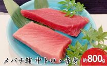 河岸の市 メバチ鮪 中トロ 約200g×2・赤身冊 約200g×2 セット（丸森） 海の幸 【配送不可：離島】