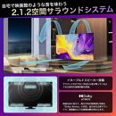 ハイセンス(65U9N) 65インチ Mini LED 4K液晶スマートTV　