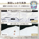 Hisense ハイセンス 洗剤自動投入 洗濯機 【設置費込み】10kg 大容量 家族用 2-4人用 低騒音 最短17分洗濯 スマホ操作 リモート洗濯 自動槽洗浄 シャワー水流 激流洗浄 予約機能 インバーター 省エネ ホワイト/ゴールド HW-DG100XH 人気 おすすめ 家電 送料無料