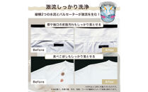 Hisense&nbsp;ハイセンス&nbsp;洗剤自動投入&nbsp;洗濯機&nbsp;【設置費込み】10kg&nbsp;大容量&nbsp;家族用&nbsp;2-4人用&nbsp;低騒音&nbsp;最短17分洗濯&nbsp;スマホ操作&nbsp;リモート洗濯&nbsp;自動槽洗浄&nbsp;シャワー水流&nbsp;激流洗浄&nbsp;予約機能&nbsp;インバーター&nbsp;省エネ&nbsp;ホワイト/ゴールド&nbsp;HW-DG100XH&nbsp;人気&nbsp;おすすめ&nbsp;家電&nbsp;送料無料