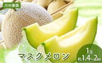 【静岡・三保松原の甘い誘惑マスクメロン】甘さあふれる！マスクメロン 1玉（約1.4kg～2kgサイズ）