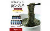 駿河湾産 味付 あかもく 海とろろ【醤油味×すっぱみかん味】おすすめセット 120g×9パック 無添加 アカモク 静岡県静岡市 ギバサ 海藻 冷凍 小分け 海鮮 海産物