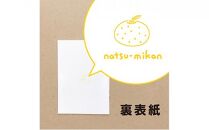 いいかげんノート なつみかんセット 2種×2冊　計4冊セット★★