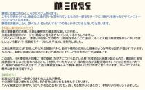 静岡てぬぐい セット 2種（久能山東照宮の歩き方・家康好み）サイズ 約35.5×89cm 日本製 注染手ぬぐい ゆかりの品 手ぬぐい 三保原屋 織物 雑貨