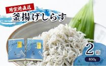 用宗港直送釜揚げしらす（850g×2箱） シラス 釜揚 釜揚げ 新鮮 冷蔵