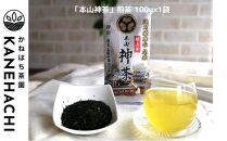 静岡久能山東照宮献上茶 「本山神茶」煎茶 100g 煎茶ティーバッグ 75g (5g×15個) 詰合せ 静岡市葵区産 かねはち茶園 オススメお茶