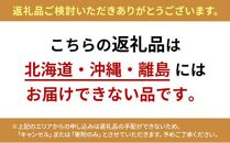 【アローズラボ　ランナーアビリティー測定　目標達成コース】 ARROWZ LAB スポーツ MARK IS マークイズ 静岡 スポーツ トレーニング