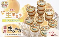 果樹園のジェラート 柑橘食べ比べ12個セット 100ml×12個 冷凍 ギフト アイスクリーム シャーベット