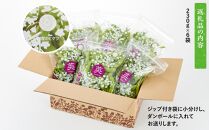 【生鮮】茶豆風味の枝豆「英」～はなぶさ～ 230g×6袋入り