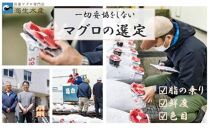 冷凍 鮪 メバチマグロ 味わいセット（とろ） 静岡市 天然 まぐろトロ マグロ 厳選 海生水産 海の幸