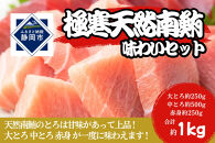 冷凍 鮪 極寒 天然 南鮪 味わいセット（大とろ・中とろ・赤身）静岡市 天然 まぐろ トロ マグロ 厳選 海生水産 海の幸