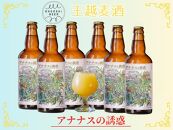 アナナスの誘惑6本セット