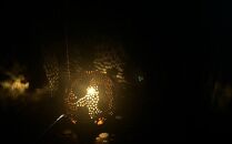 【陶工房　游山】ランプシェード（猫）