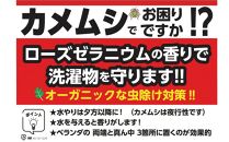 虫よけ効果 ローズゼラニウム 中サイズ苗 3個セット（鉢つき）