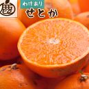 ＜2月より発送＞家庭用 せとか3kg+90g（傷み補償分）【柑橘・春みかんの王様】【わけあり・訳あり】【IKE63】