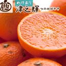 ＜2月より発送＞家庭用 津之輝3kg+90g（傷み補償分）つのかがやき【わけあり・訳あり】【光センサー選別】【IKE59】