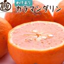 【 家庭用 】  カラマンダリン約4kg+120g（傷み補償分）【希少な春柑橘】【みかんと同じように食べられます】【2025年4月初旬～2025年5月末日頃 順次発送予定】【IKE69】