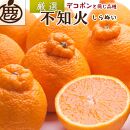 厳選 不知火約3kg+90g（傷み補償分）【人気の春みかん】【2025年2月初旬～2025年3月末日頃 順次発送予定】【IKE49】