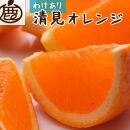 【 家庭用 】 清見オレンジ 約10kg+300g（傷み補償分）【光センサー食頃出荷】【わけあり・訳あり】【2025年2月初旬～2025年3月末日頃 順次発送予定】【IKE64】