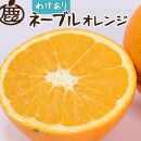 【 家庭用 】 ネーブルオレンジ 約3kg+90g（傷み補償分）【訳あり・わけあり】【光センサー選別】【2025年2月初旬～2025年2月末日頃 順次発送予定】【IKE41】