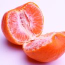 ［先行予約］厳選&nbsp;ポンカン1kg+250g（傷み補償分）［IKE19］